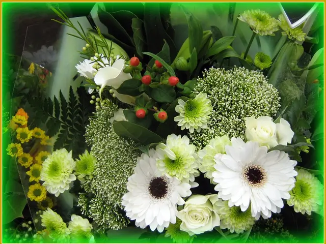 Prices for flowers in Omsk decreased prior to September 1st