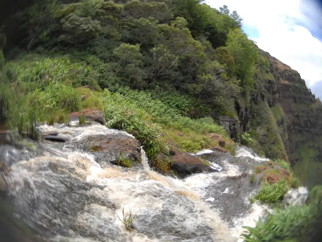 Weather forecast for September 9 in Saxony-Anhalt