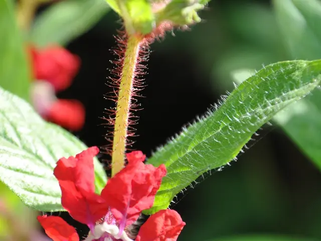 Rare British flora to be showcased at Kew Gardens for public viewing