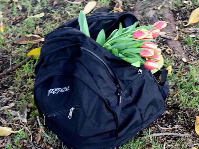 Uncompacting Garden Soil: Strategies for Revitalizing Dense Soil in Your Garden Plot