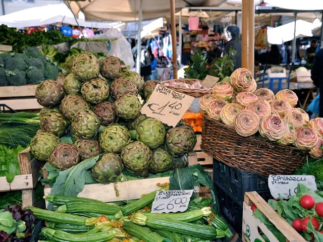 Investigating the Pivotal Role of Excise Duties in Smaller Brewing Companies