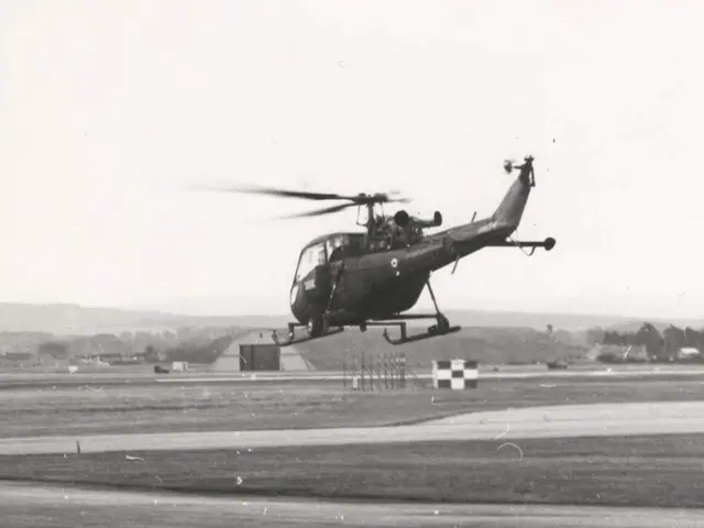 Coordination between military and civilians should be intensified in the fight against wildfires