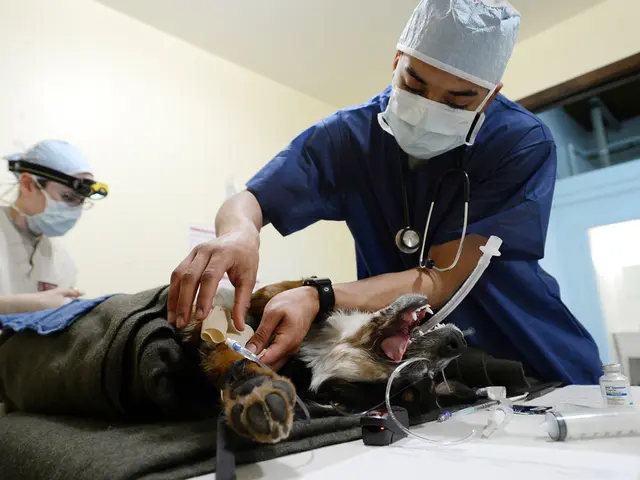 Doctor under scrutiny denies allegations of tampering with IV fluid bag.