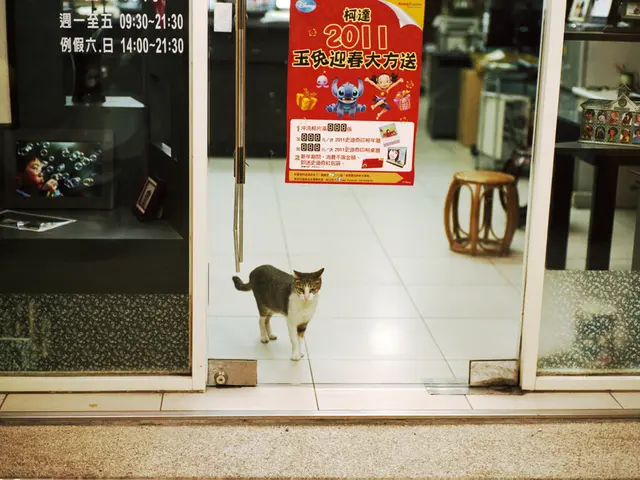 Son Returned 2011 Chevy Colorado to Him, Bought New 2024 Model, Covered 2,000 Miles, Now...