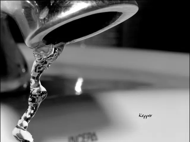 Army officers from the Corps are slated to offer testimony regarding ongoing infrastructure...