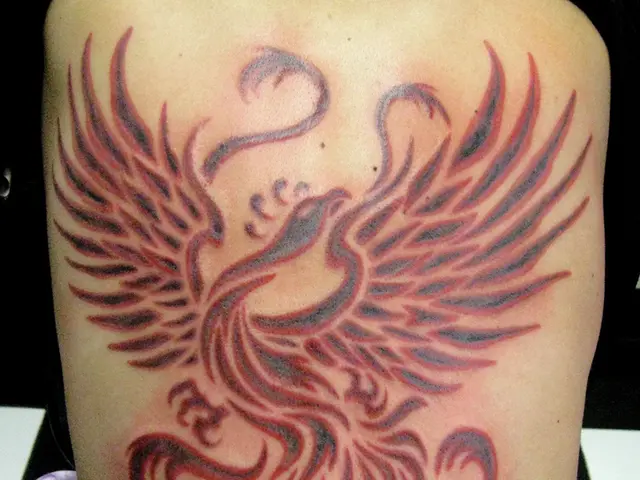 Comprehensive instructions for post-tattoo treatment