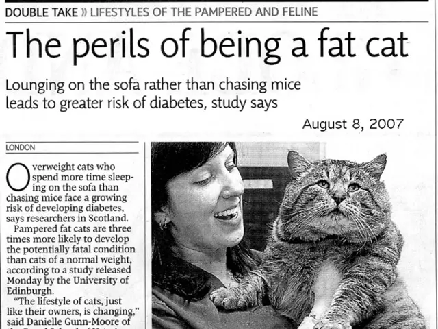 A grim encounter between a Ukrainian refugee and a Charlotte resident with a criminal past leads to...