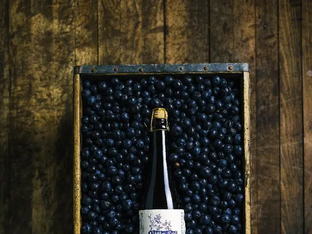 Maintaining Wellness during the Summer Heat: 5 Strategies to Keep You Fit and Healthy