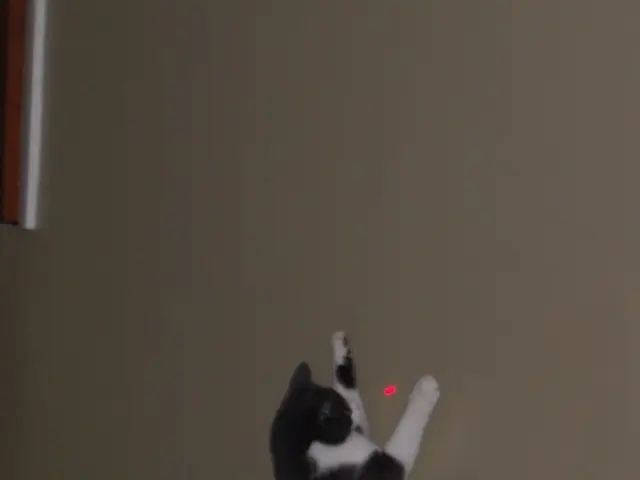 Scientists propose concept for lasers emitting neutrino rays