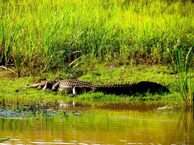 Achieving success at Africa Climate Summit 2 could be marked by significant agreements on reducing...