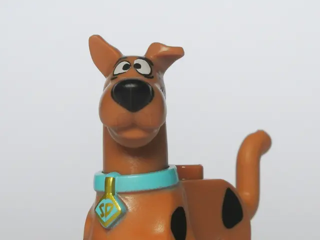 Thirty-two fascinating details about the nature and characteristics of Basset Hounds