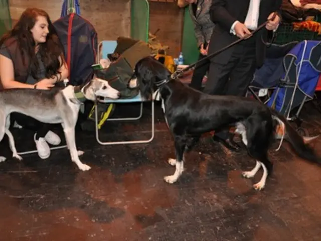 Notification to the affected individual about the following details: