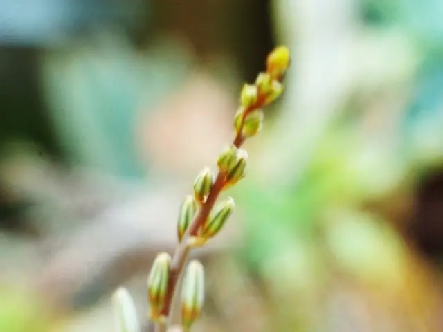 Gathering and Utilizing Self Heal: Tips and Tricks