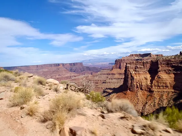 NRW's Sauerland-Waldroute standout as the most striking hiking pathway