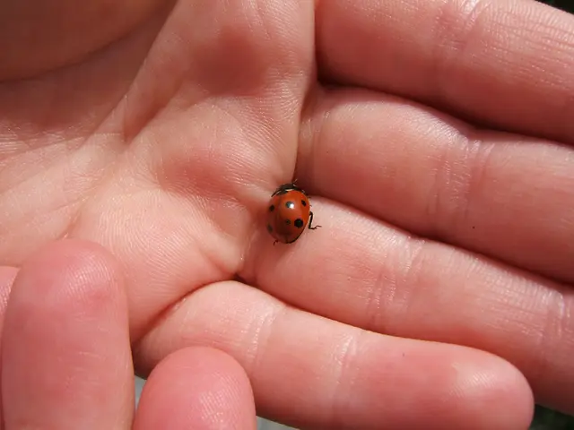 Uncovered by Rapid7: Critical SQL Injection Vulnerability with High Impact