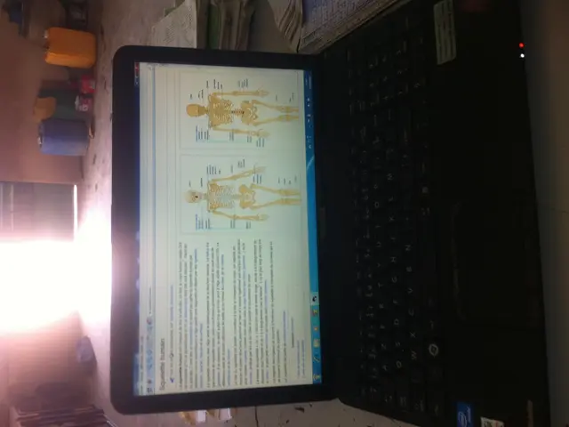 Business Laptop ASUS ExpertBook P1 Initial Assessment: A Straightforward Enterprise Tool Crafted...