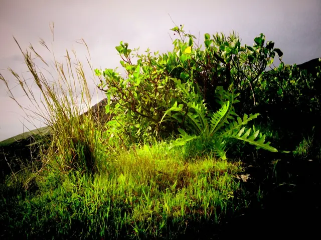 Enjoy a pleasant day on the 9th of September, Picos.