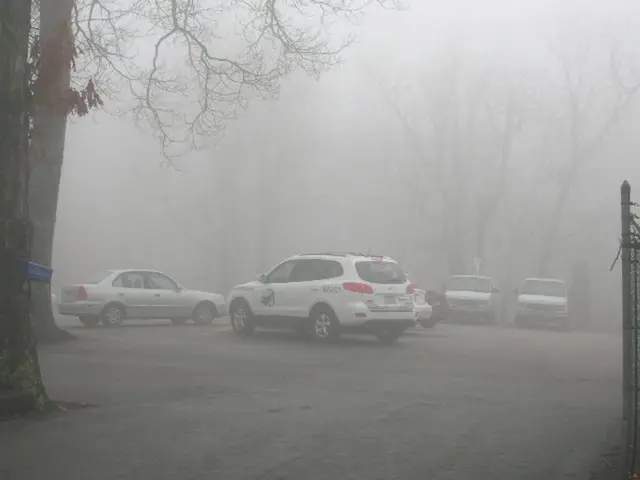 Severe fog impairs visibility in Abu Dhabi, Al Ain, and certain districts of Dubai this morning;...