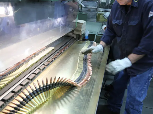 Trial initiates for brutal assault on mother in Frankenthal, two years following the incident