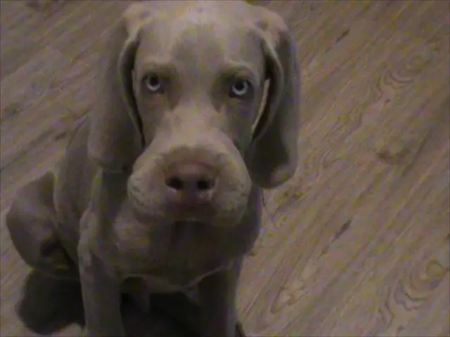 Law enforcement officials are currently seeking out individuals who may have witnessed a recent...