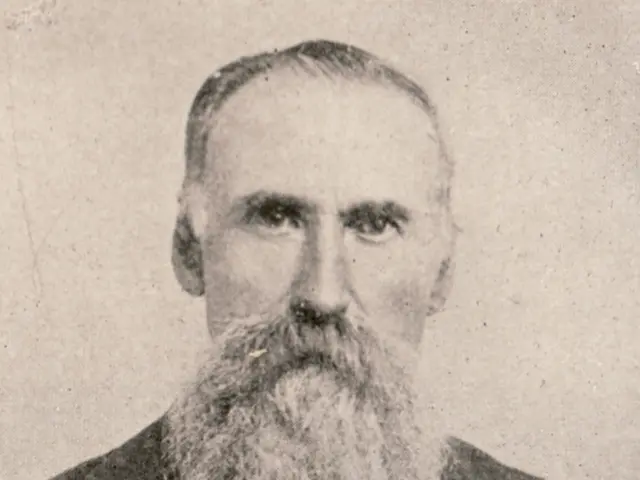 Exploring the Variety of Natural Beard Hues through Internet Beard Colorings