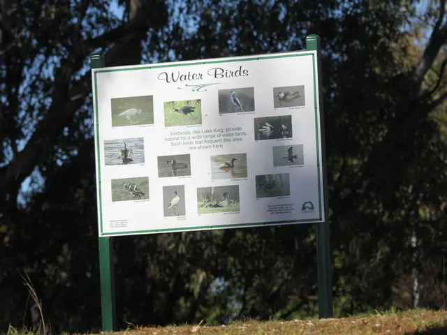 Gaming company, 3 Oaks, broadens horizons with the launch of Starcasino in the Netherlands