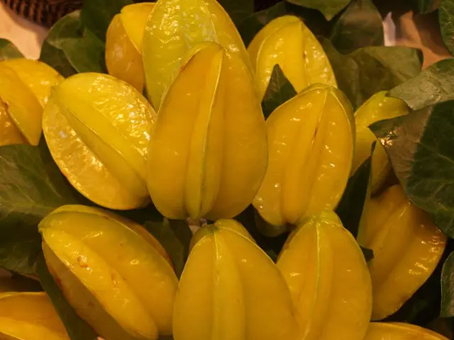 Starfruit's Remarkable Health Advantages Unveiled: Discover 10 Impressive Ways Starfruit Boosts...