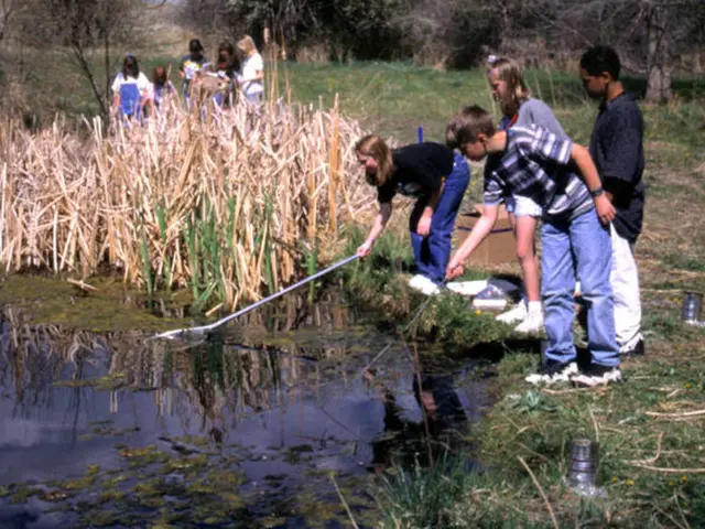 On left side of this image there is a river. On the right side, I can see few people are standing...
