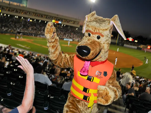 In this image we can see the stadium, there are a few people, some of them are playing baseball,...